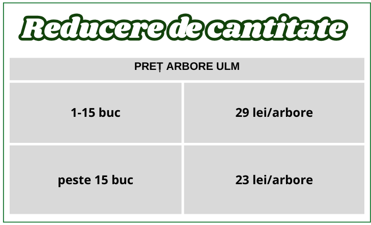 arbore